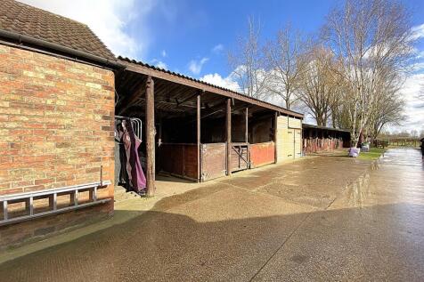 Stalls.JPEG