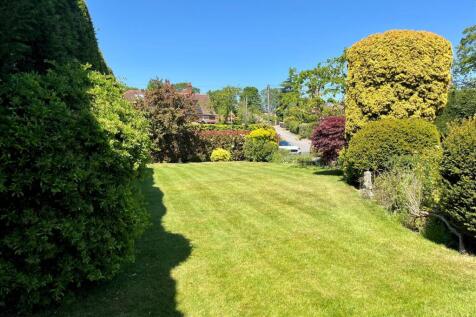 Garden.jpg