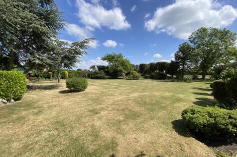 Garden 1.JPEG