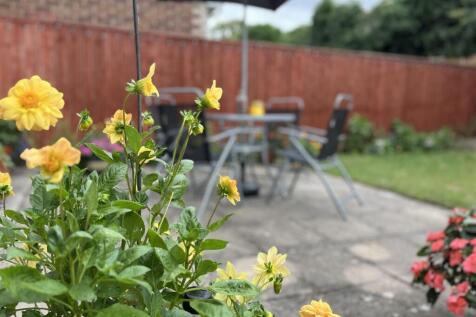 Patio Area.jpg