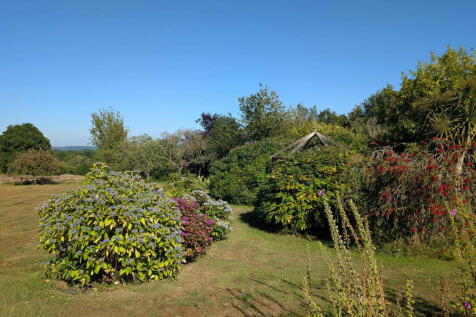 Property Image 39