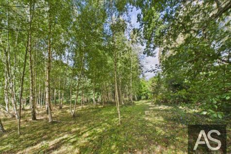 Property Image 60