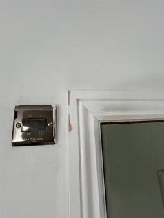 20250428_090526414_iOS.jpg