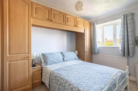 Ganders Close-2.jpg