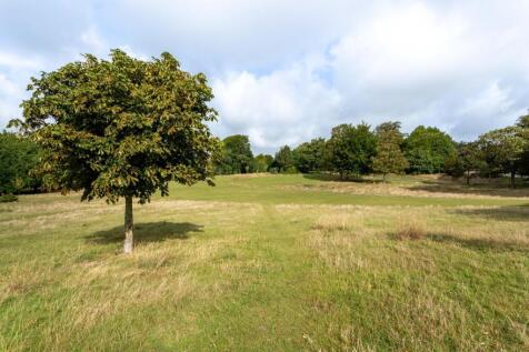 Hove Park late summer-1.jpg
