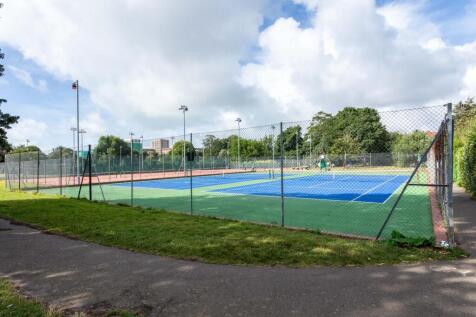 Hove Park late summer-4.jpg