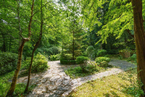 Property Image 60
