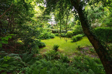 Property Image 61