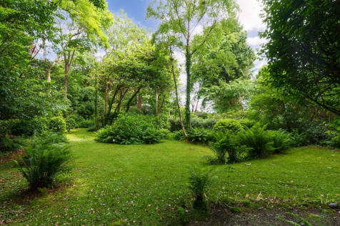 Property Image 62
