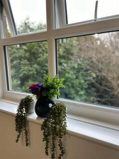 Lounge Window