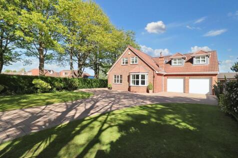 Property Image 44