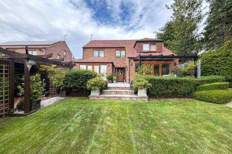 Property Image 36