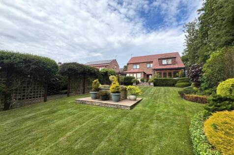 Property Image 37