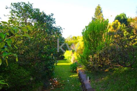 Property Image 58