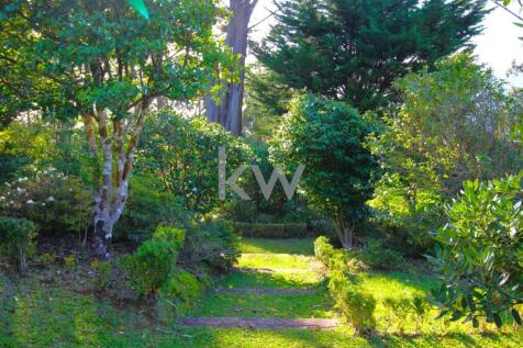 Property Image 62