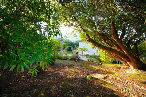 Property Image 83