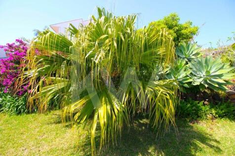 Property Image 71