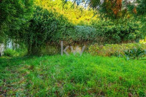 Property Image 54