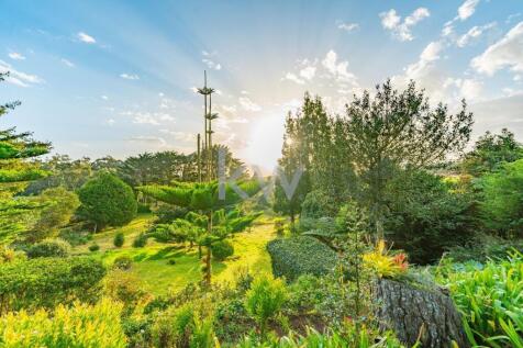 Property Image 65