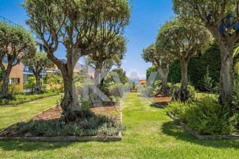Property Image 58