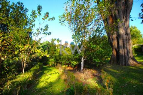 Property Image 56