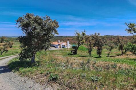 Property Image 104
