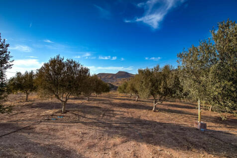 Property Image 36
