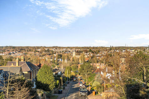 Elevated View
