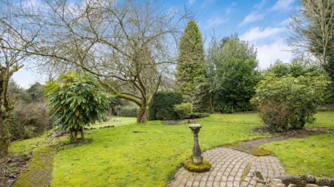 Property Image 47