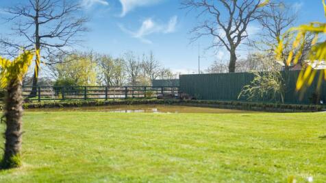 Property Image 51
