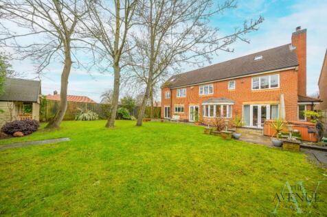 Property Image 49