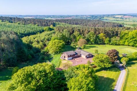 Property Image 60