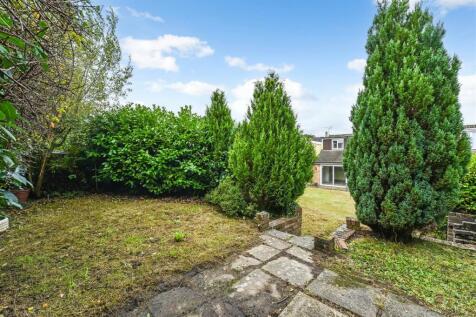 Back of Garden.jpg