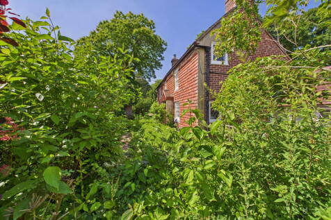 Property Image 41