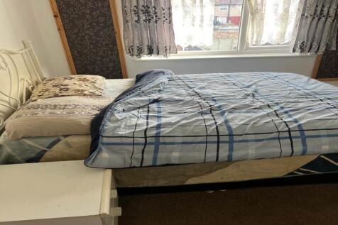 WhatsApp Image 2025-