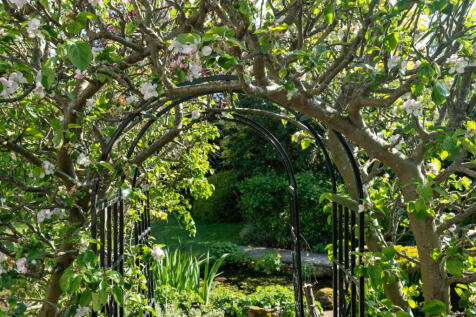 Property Image 38
