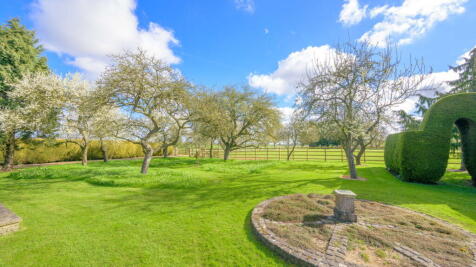 Property Image 57