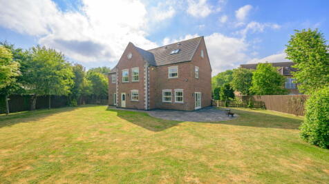 Property Image 34