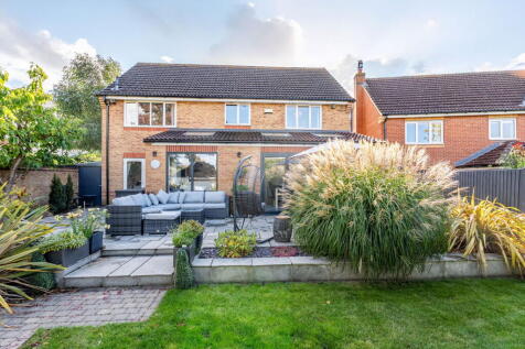 Property Image 46