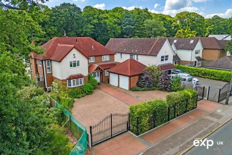 Property Image 41