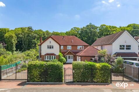 Property Image 43