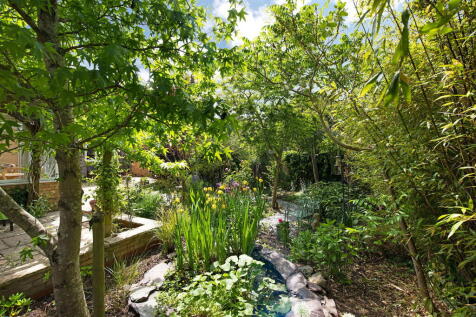 Property Image 41