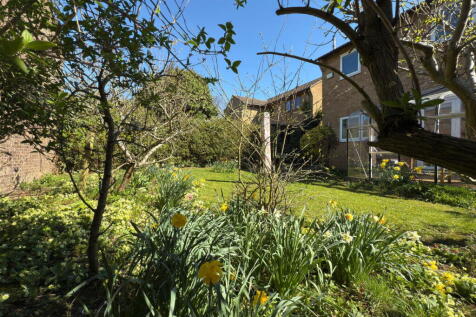 Property Image 34
