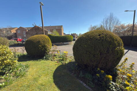 Property Image 35