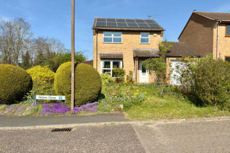 Property Image 41
