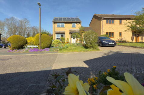 Property Image 45