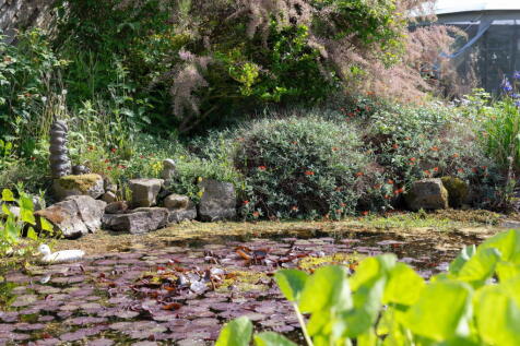 Property Image 34