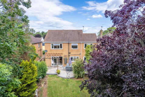Property Image 38