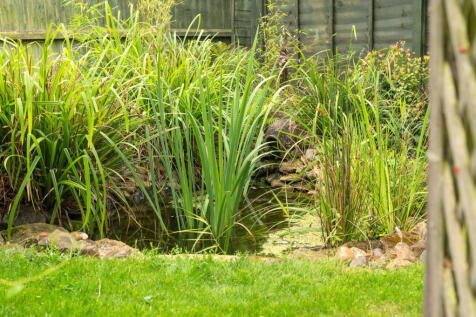 Property Image 32