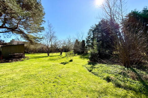 Property Image 45